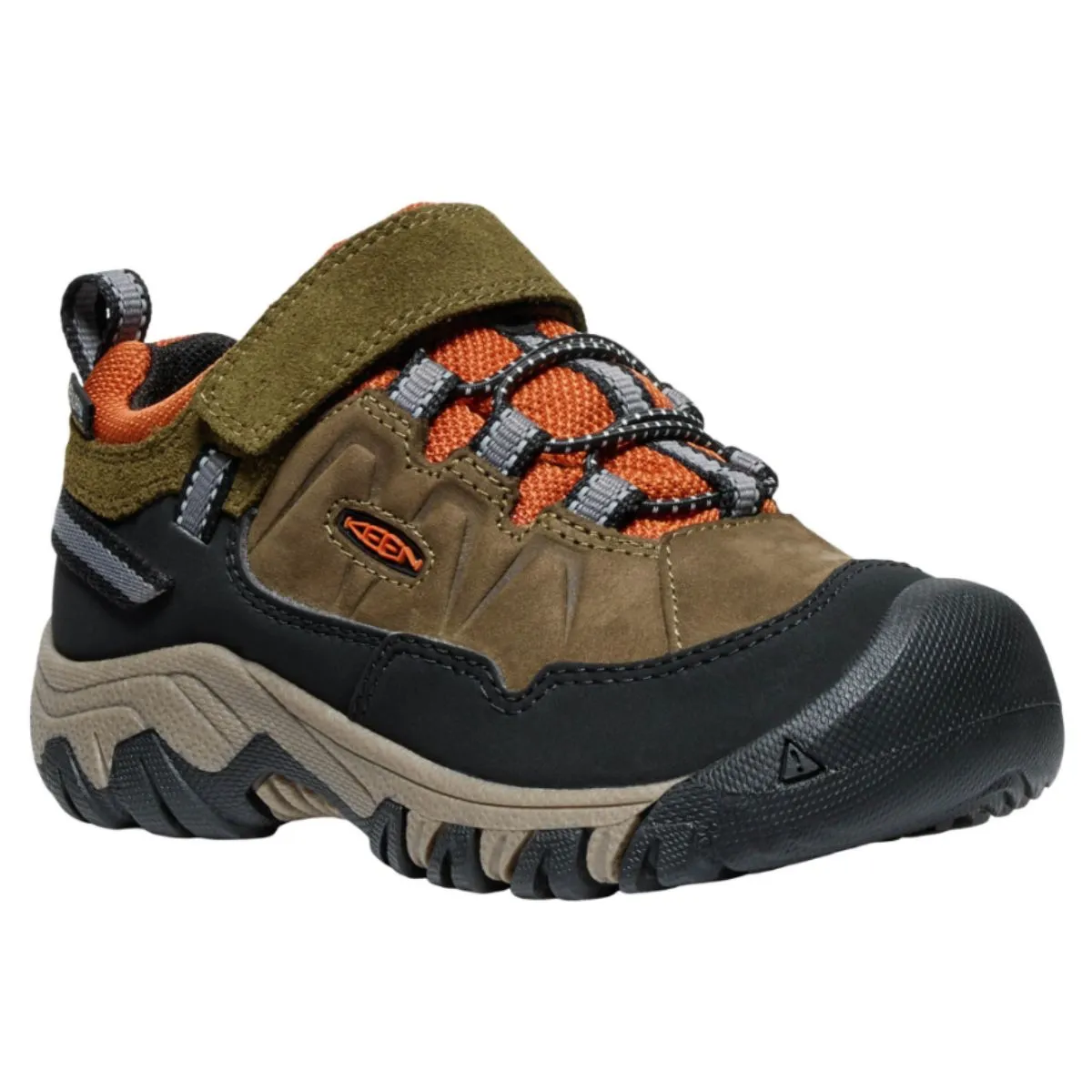 Targhee IV Waterproof Hiking Shoe